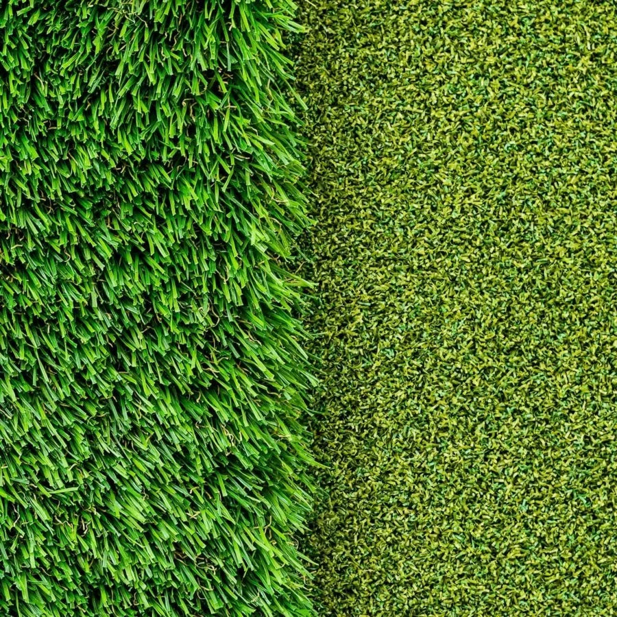 Protective Rough Grass