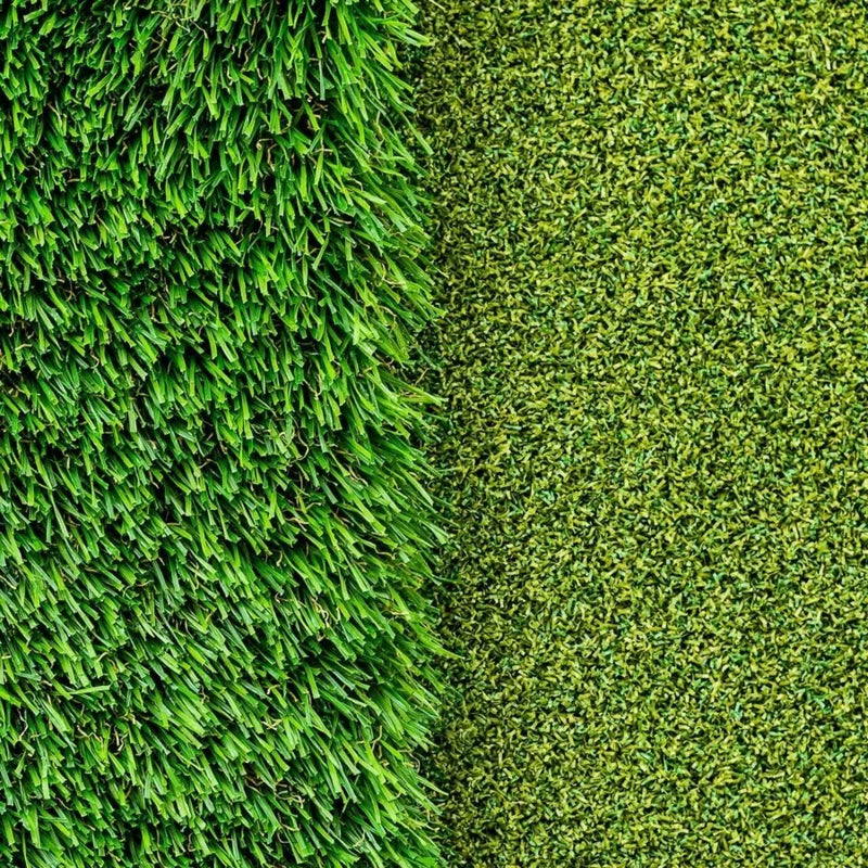 Protective Rough Grass