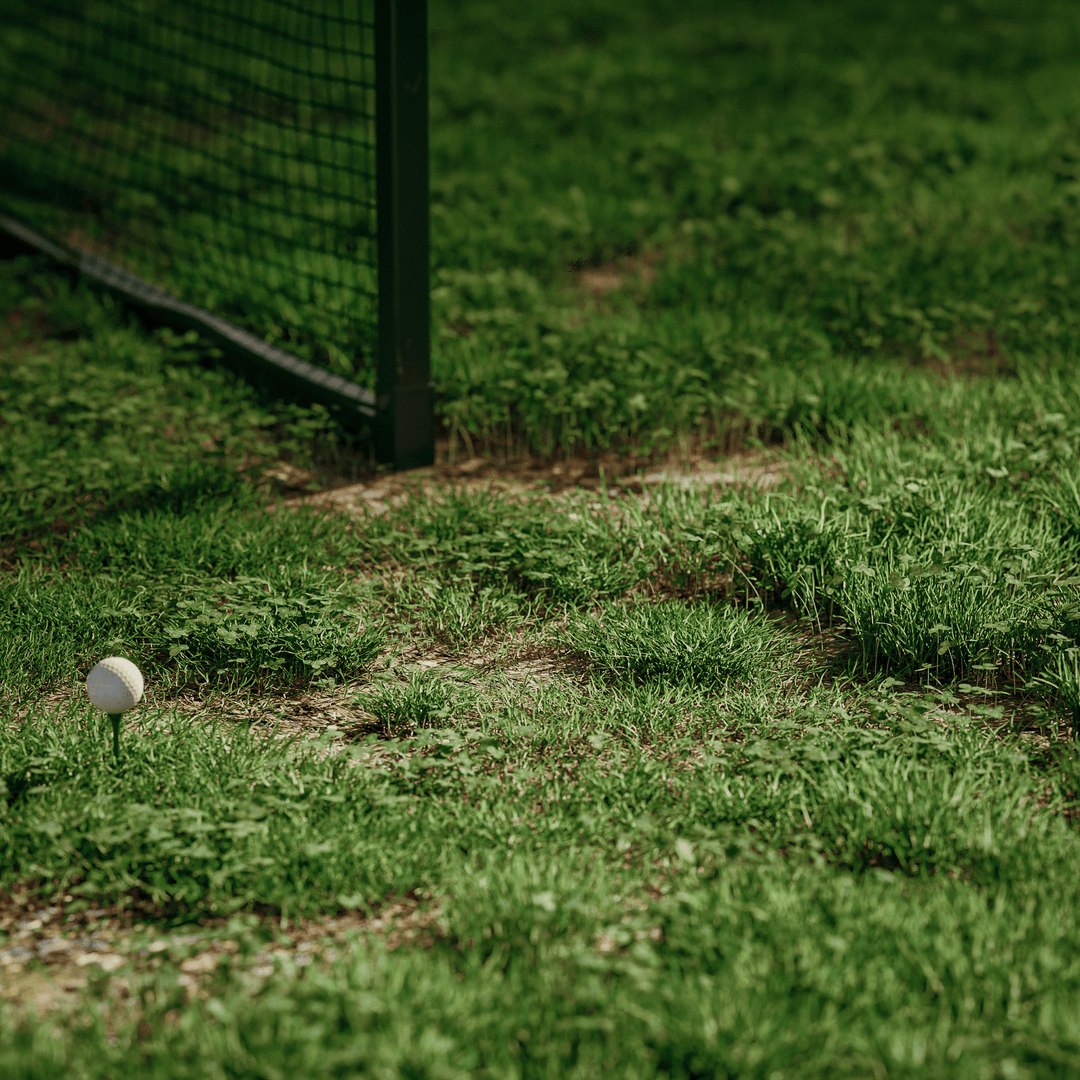 linkscube Lite - Open Golfer